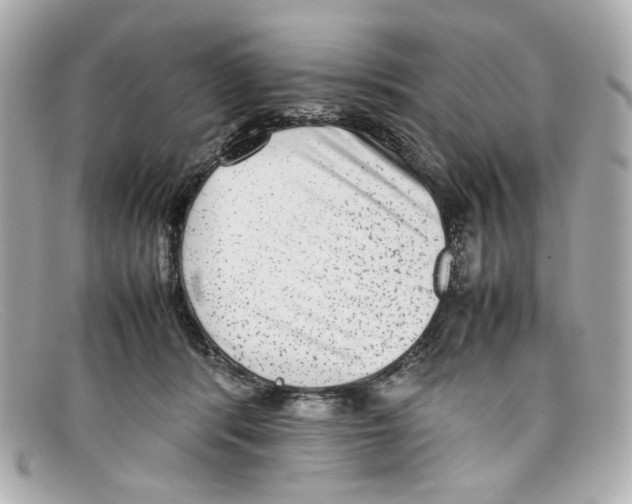 X0000097960416200804211108