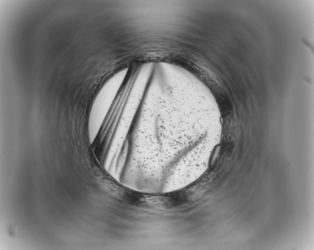 X0000097960417200804211108