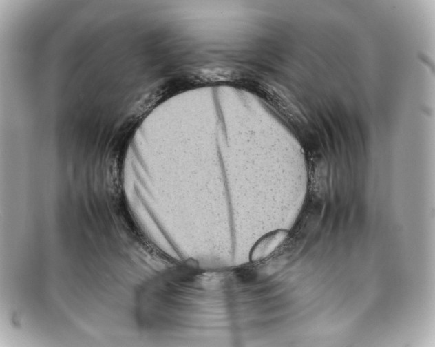 X0000097960418200804211108