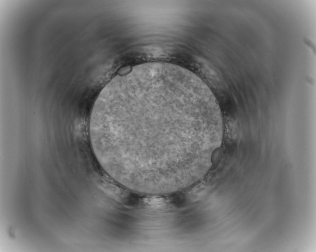 X0000097960419200804211108
