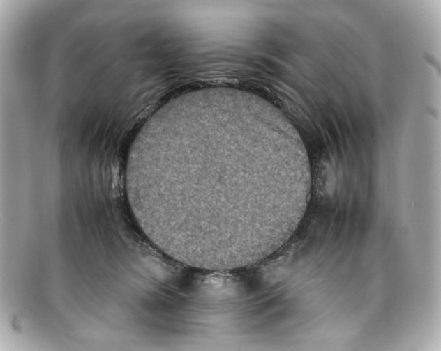 X0000097960420200804211108