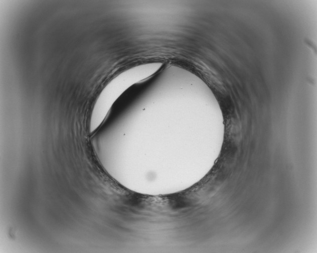 X0000097960421200804211108