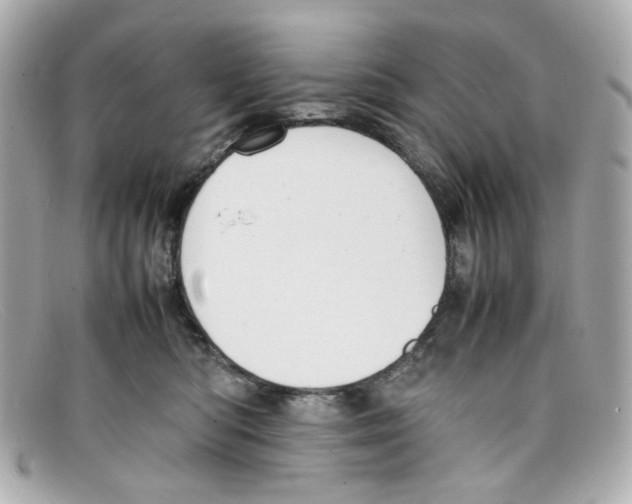 X0000097960422200804211108