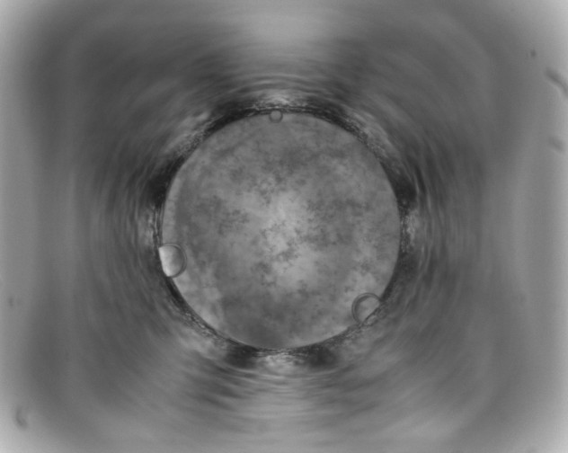 X0000097960423200804211108