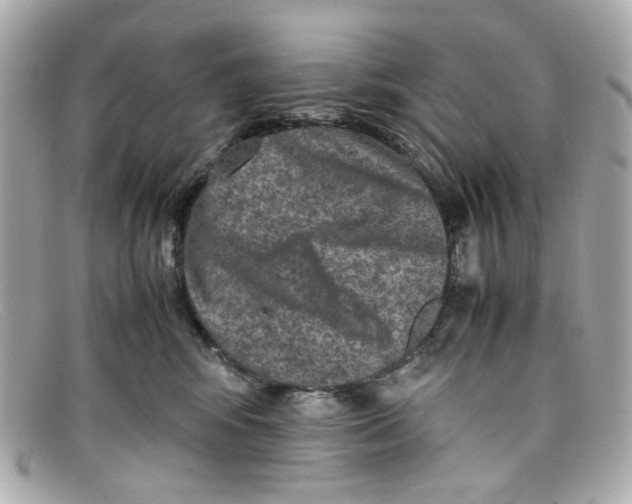 X0000097960424200804211108
