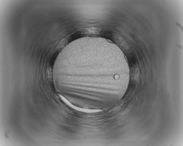 X0000097960425200804211108