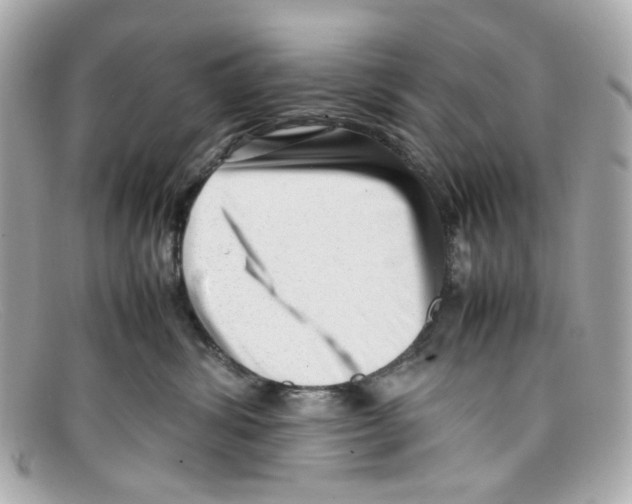 X0000097960428200804211108