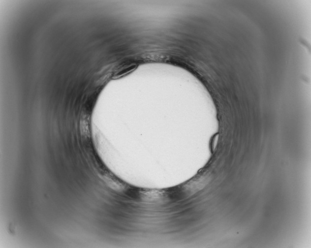 X0000097960432200804211108