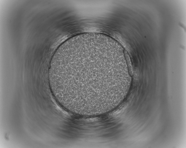 X0000097960433200804211107