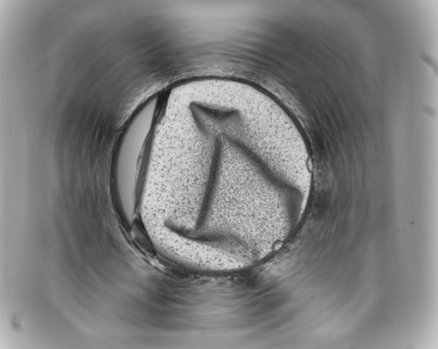 X0000097960434200804211107