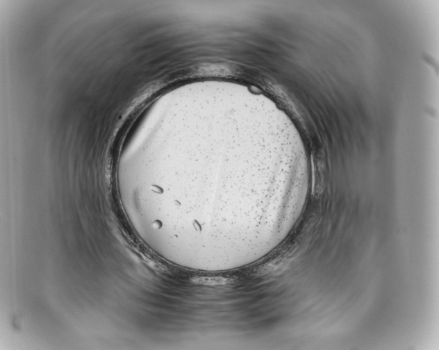 X0000097960435200804211107