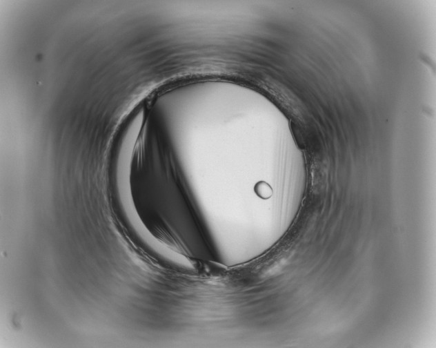 X0000097960436200804211107