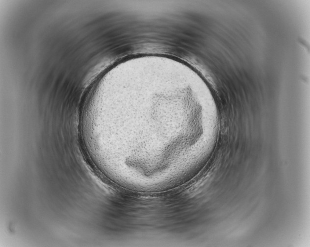 X0000097960437200804211107