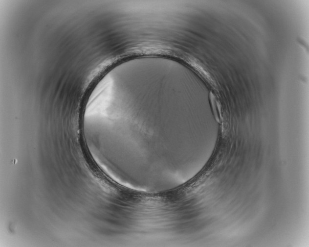 X0000097960438200804211107