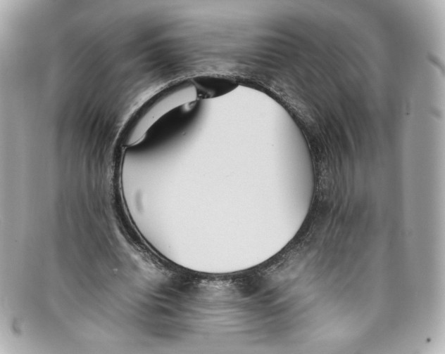 X0000097960440200804211107