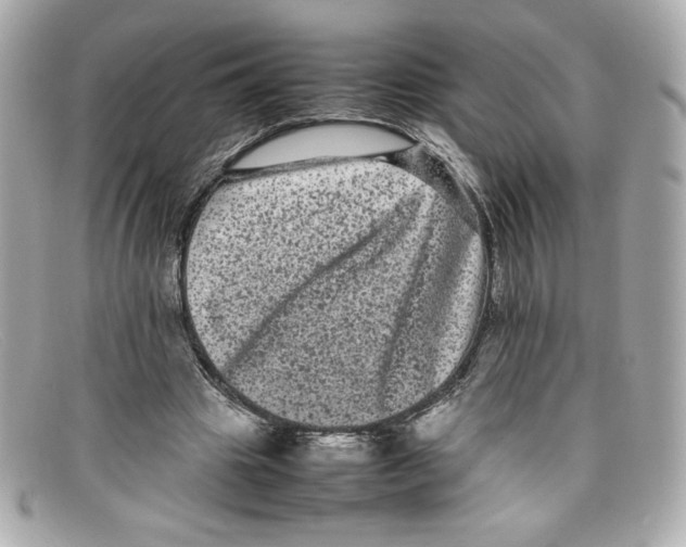 X0000097960441200804211107
