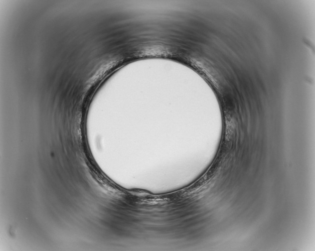 X0000097960443200804211107