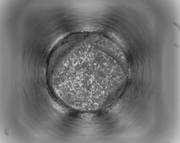 X0000097960444200804211107