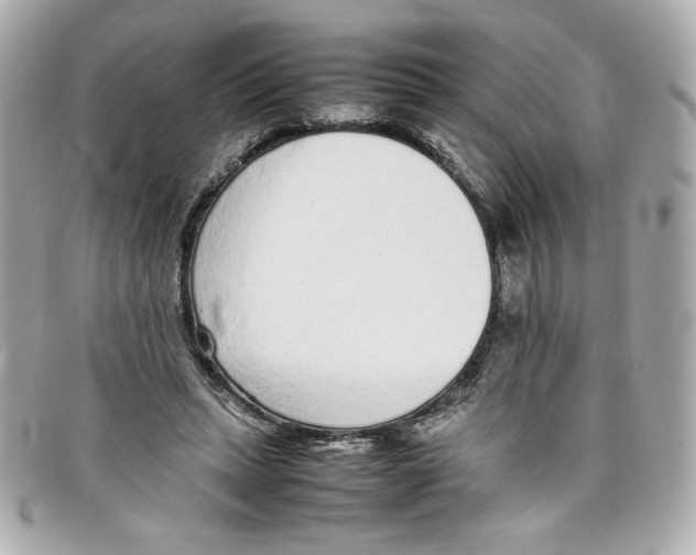 X0000097960447200804211107