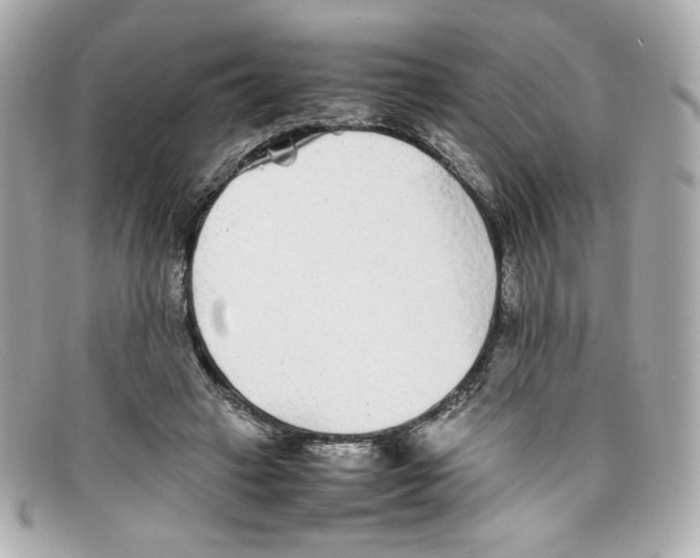 X0000097960449200804211107