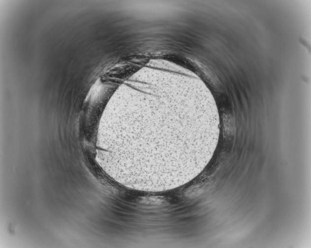 X0000097960451200804211107