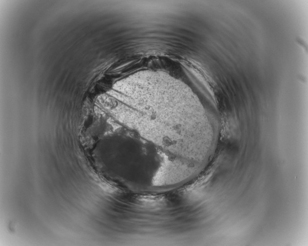 X0000097960453200804211107