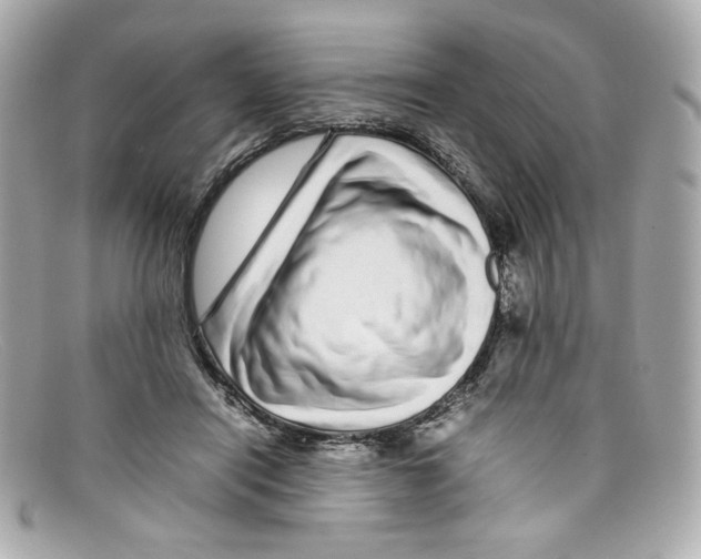 X0000097960454200804211107