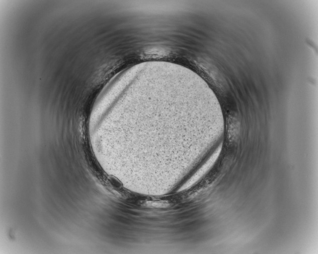 X0000097960455200804211107