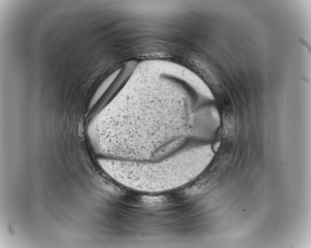 X0000097960457200804211107
