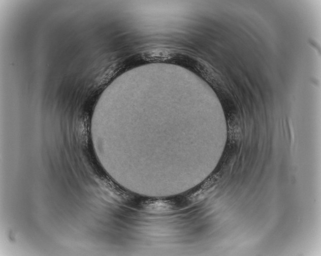 X0000097960460200804211107