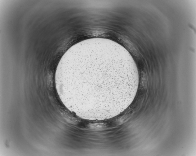X0000097960461200804211107
