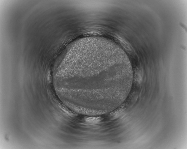 X0000097960465200804211108