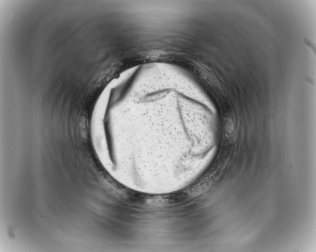 X0000097960470200804211108