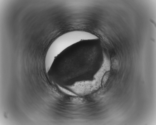 X0000097960471200804211108