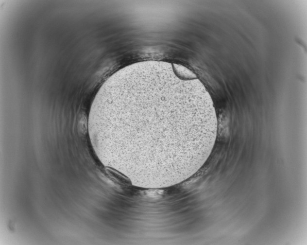 X0000097960474200804211108
