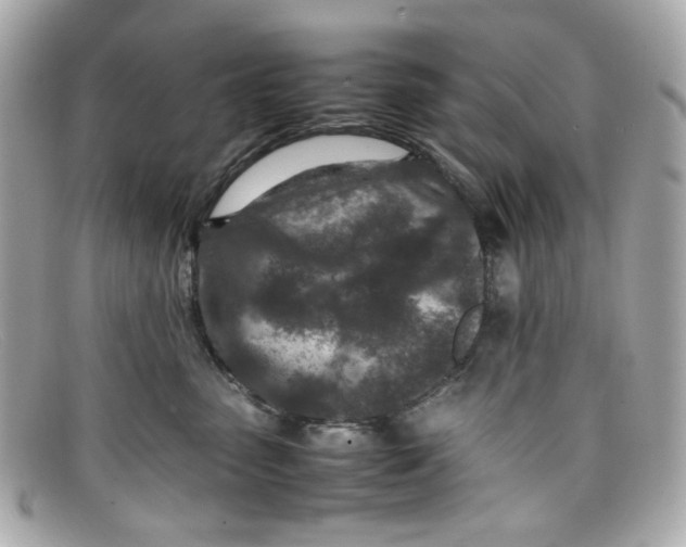 X0000097960475200804211108