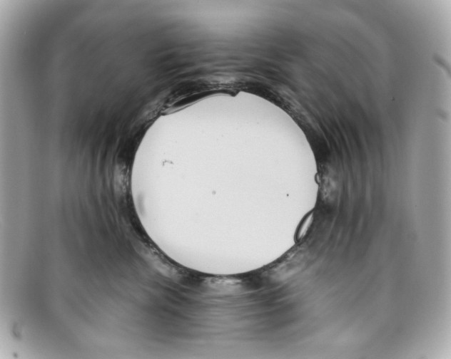X0000097960476200804211108