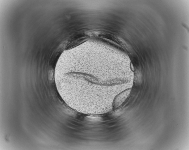 X0000097960477200804211108