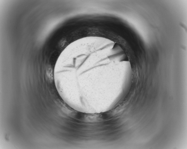 X0000097960479200804211108
