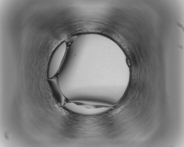 X0000097960481200804211107