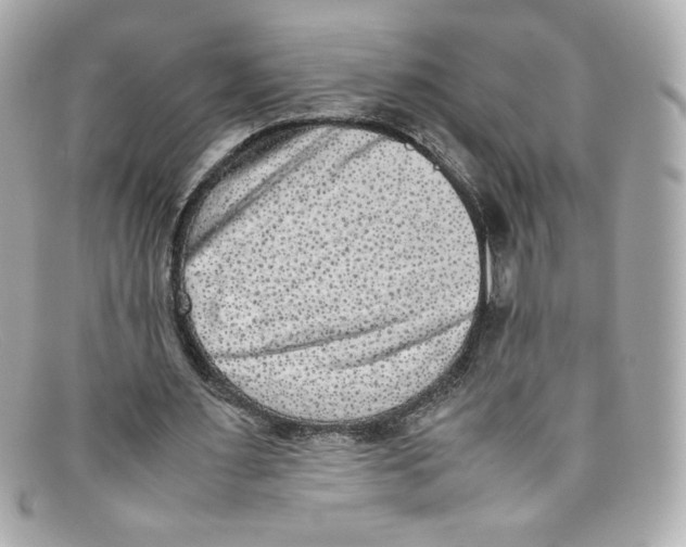 X0000097960483200804211107