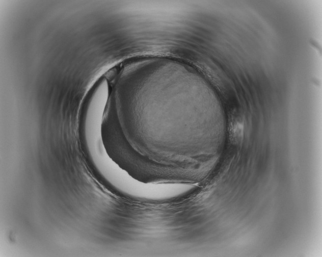 X0000097960484200804211107