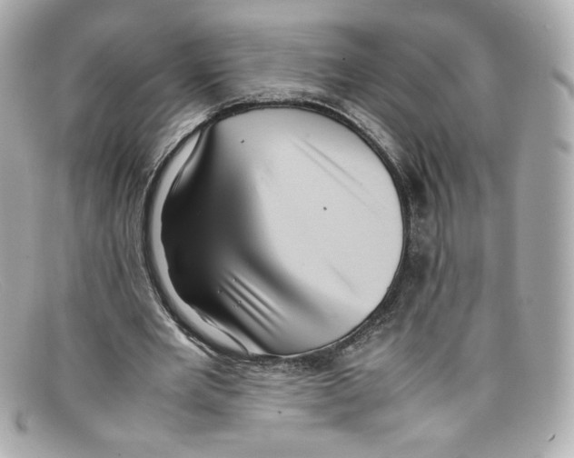 X0000097960485200804211107