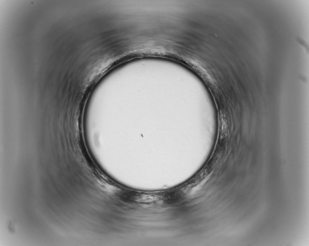 X0000097960487200804211107
