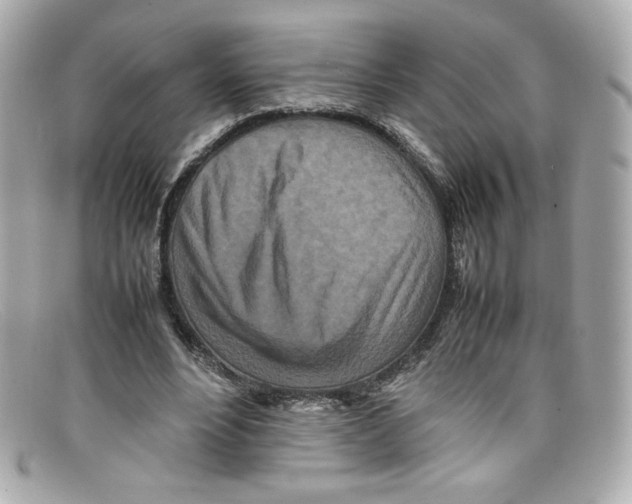X0000097960488200804211107