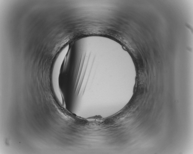 X0000097960489200804211107