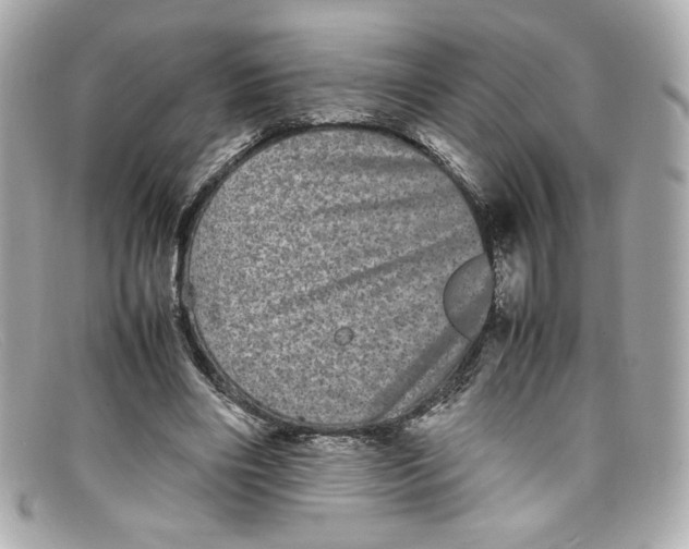 X0000097960490200804211107
