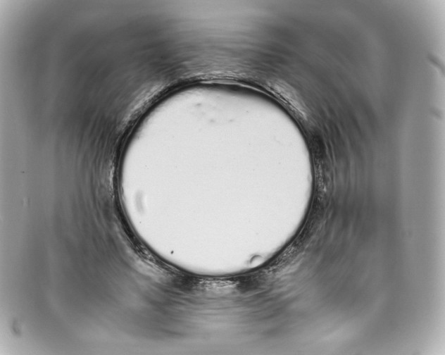 X0000097960491200804211107