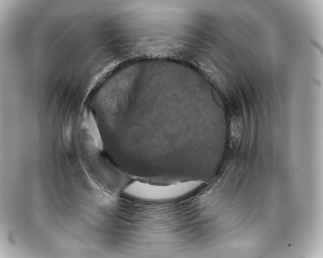 X0000097960492200804211107