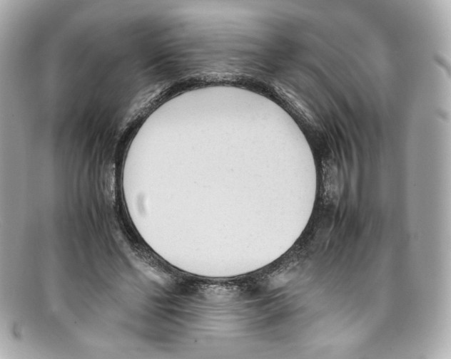 X0000097960494200804211107